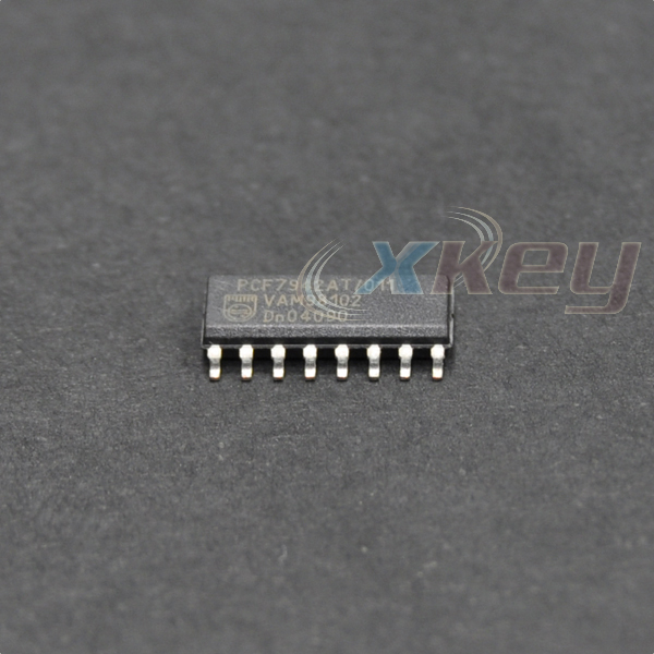 pcf7942-1.jpg