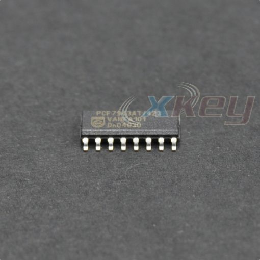 pcf7943-1.jpg