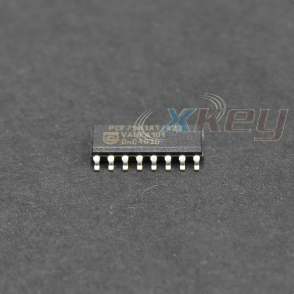 pcf7943-1.jpg