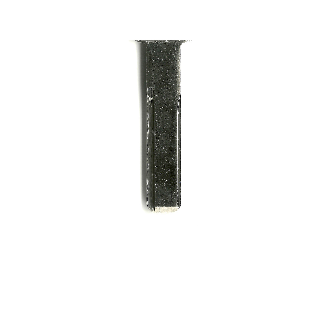 sip-4-1.jpg