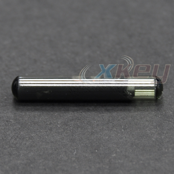 tpx1g-1.jpg