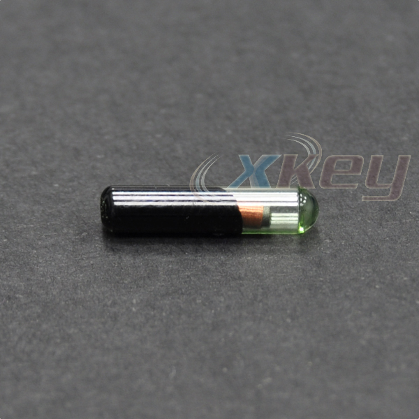xm48w-1.jpg