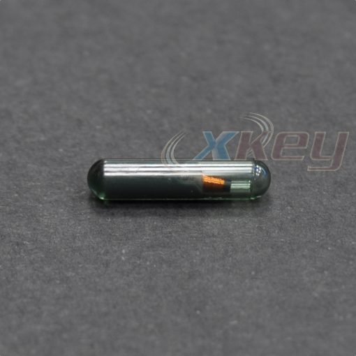 xs05g-1.jpg