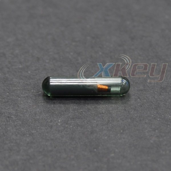 xs05g-1.jpg
