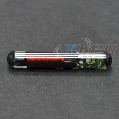 xt4cg-1.jpg