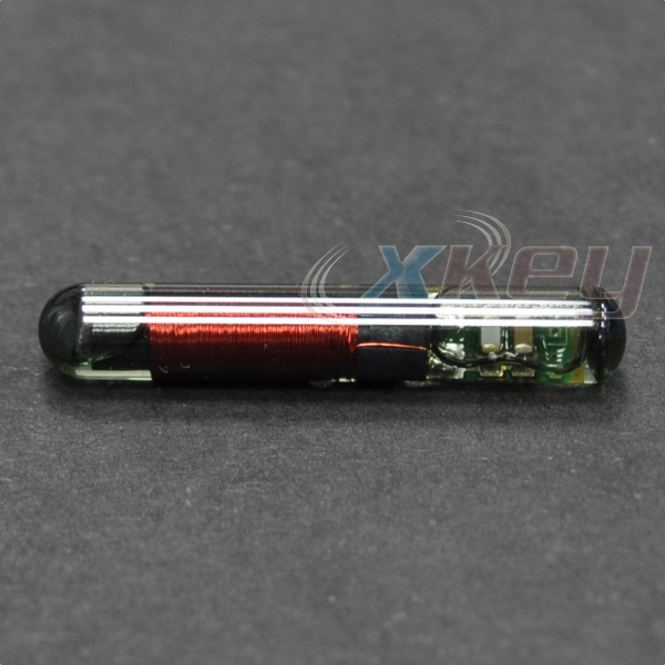 xt4cg-1.jpg