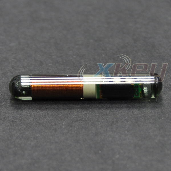 xt4dg-1.jpg