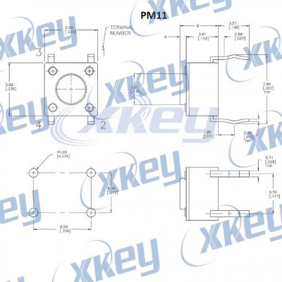 PM11DIAGRAMA