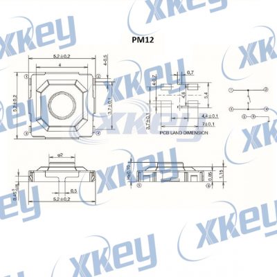 PM12DIAGRAMA