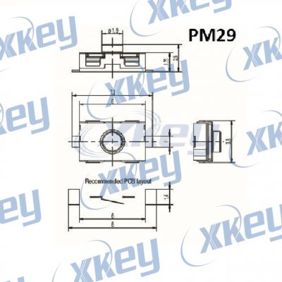 PM29DIAGRAMA