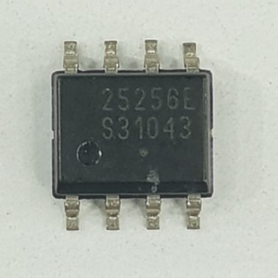 25256