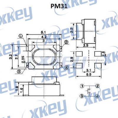 PM31DIAGRAMA