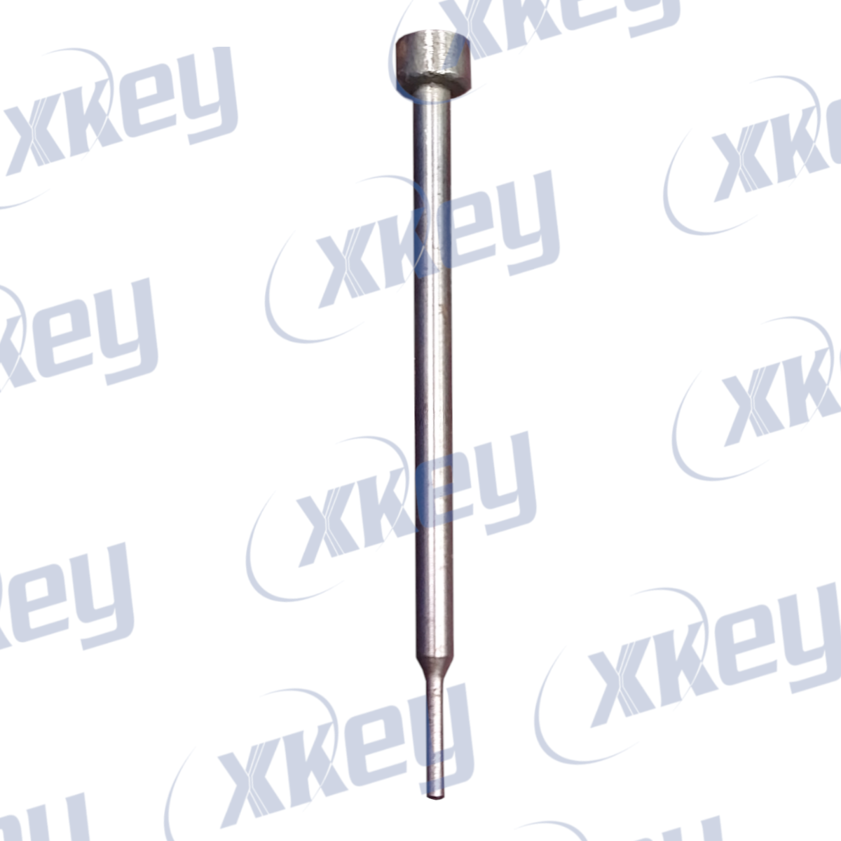 Xext01