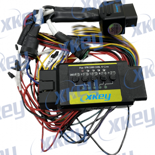 XCONECTORGO BANQUEO PINERA XKEY